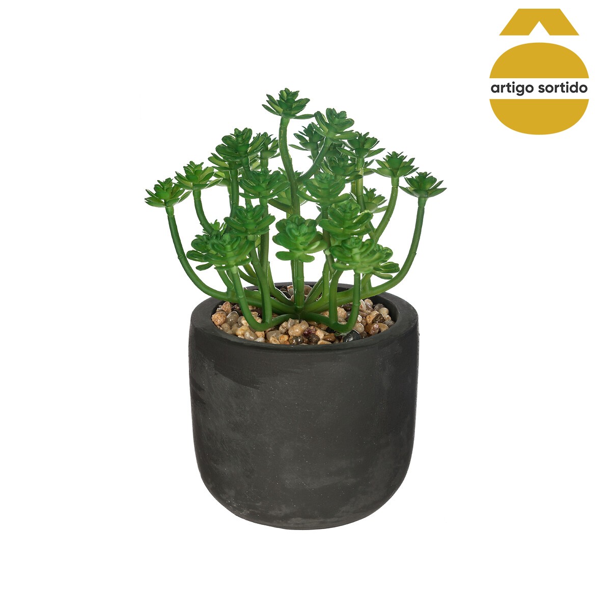 Vaso de cimento preto com planta 20cm,  Vaso de cimento preto com planta 20cm