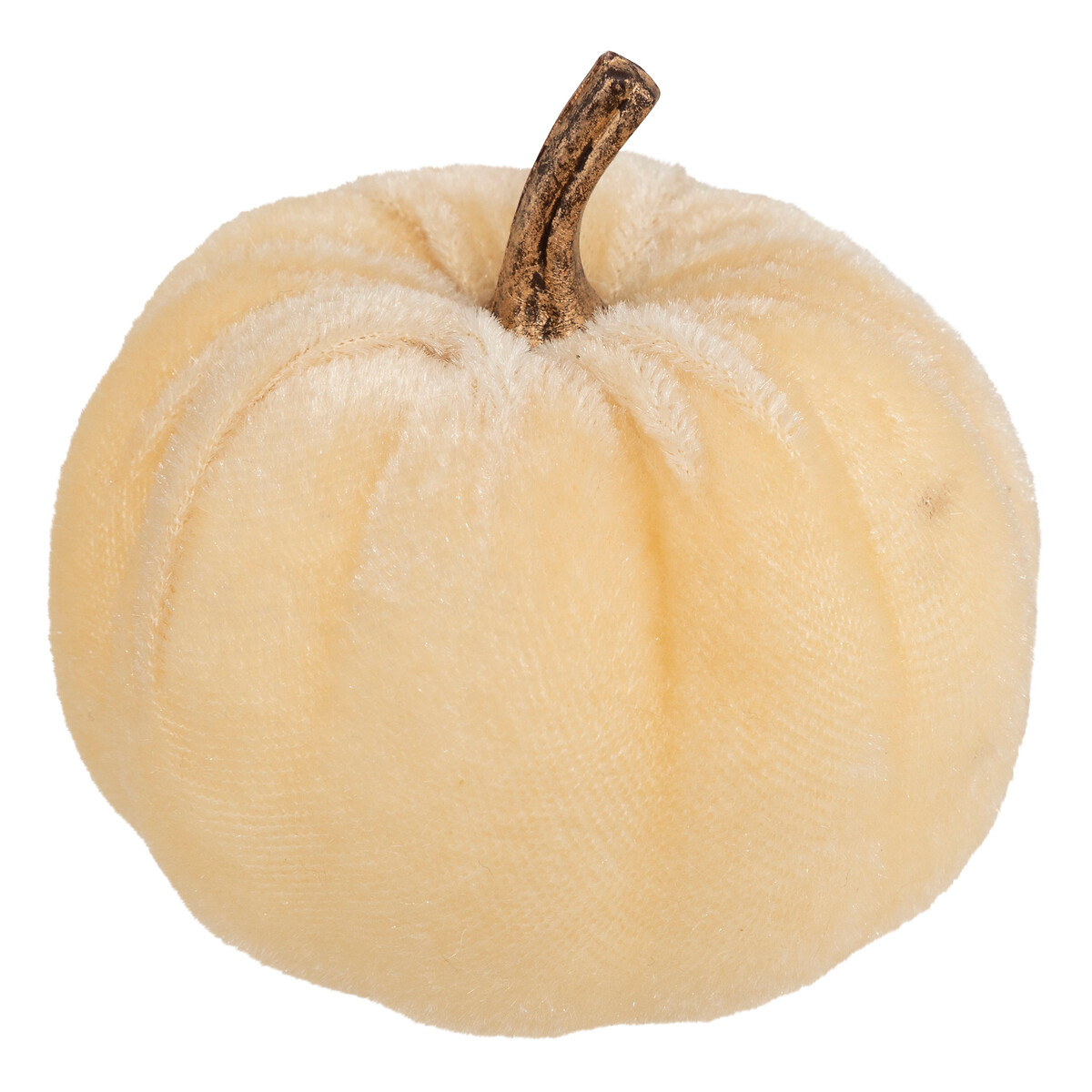 Conjunto de 5 ab&oacute;boras de veludo 6,5cm