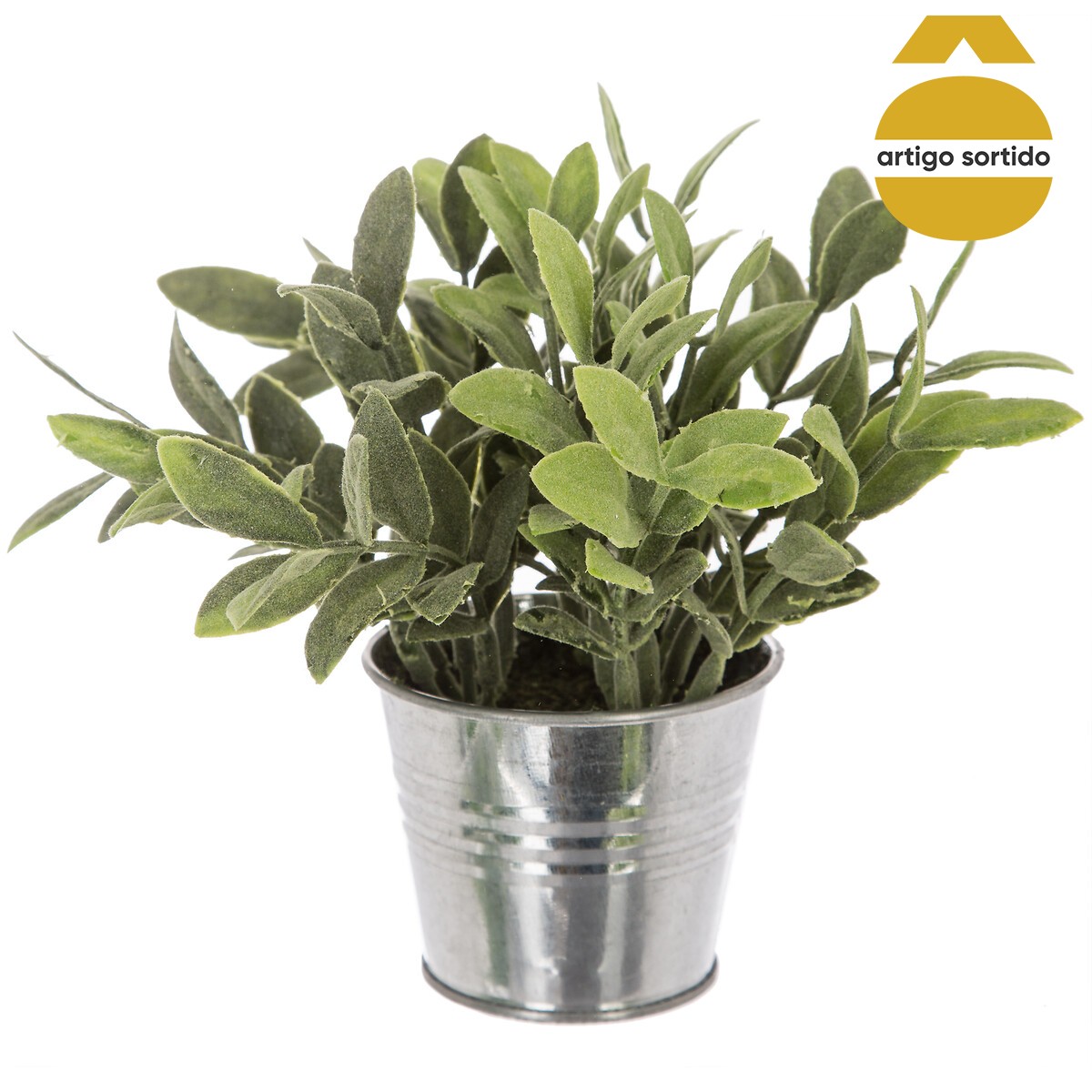 Vaso de zinco com planta 15cm