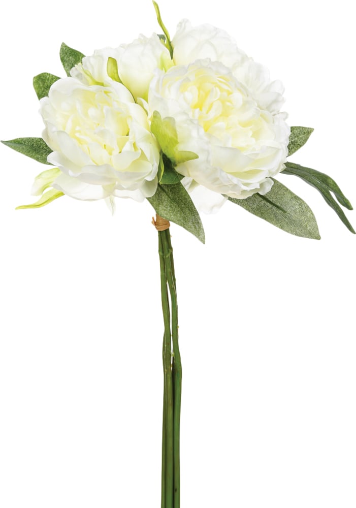 Bouquet com 4 peónias brancas