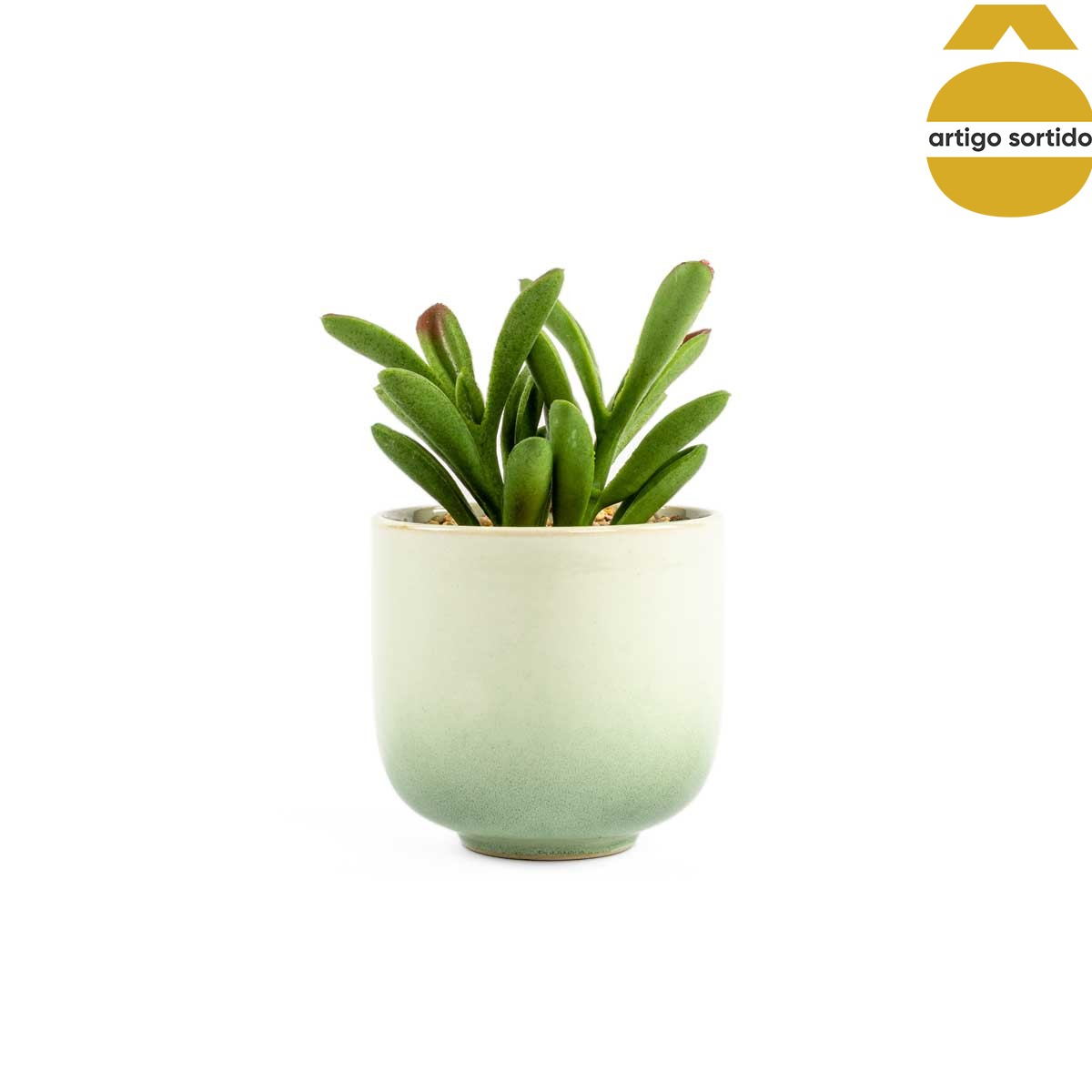 Vasinho de cerâmica com planta artificial,  Vasinho de cerâmica com planta artificial