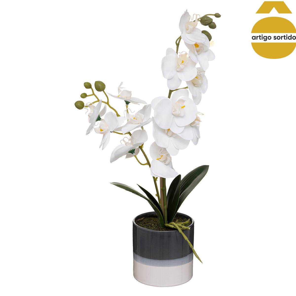 Planta orqu&iacute;dea com vaso cer&acirc;mico