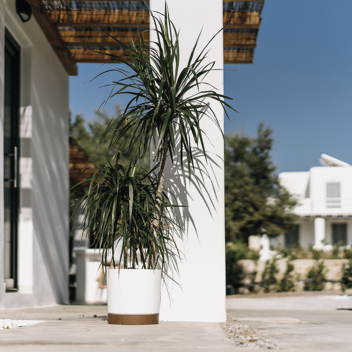 Vaso TUBO PM branco 15cm