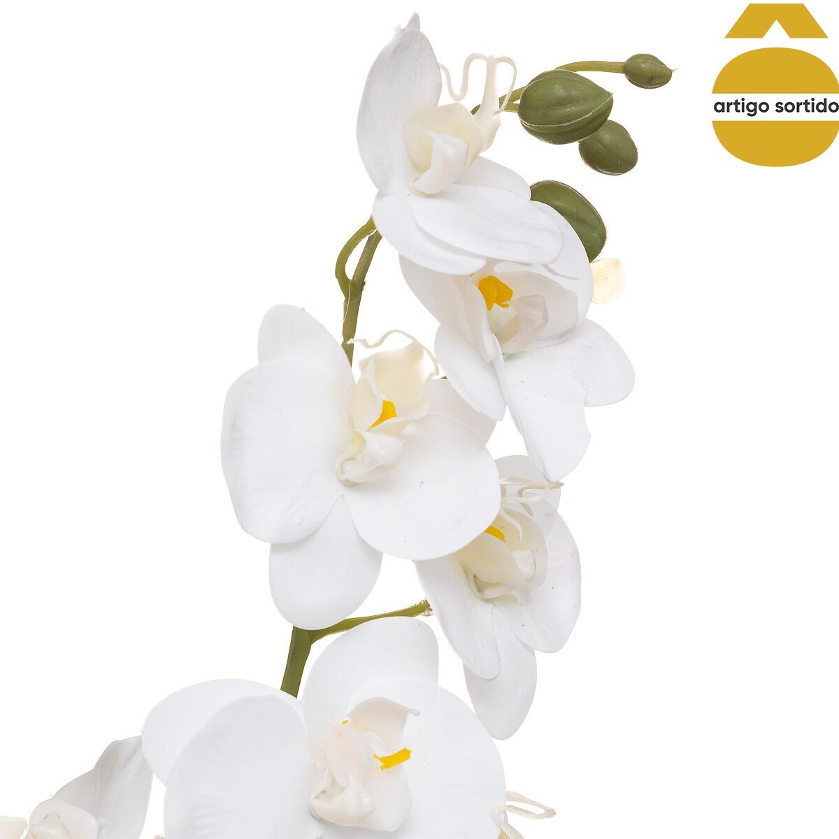 Planta orqu&iacute;dea com vaso cer&acirc;mico