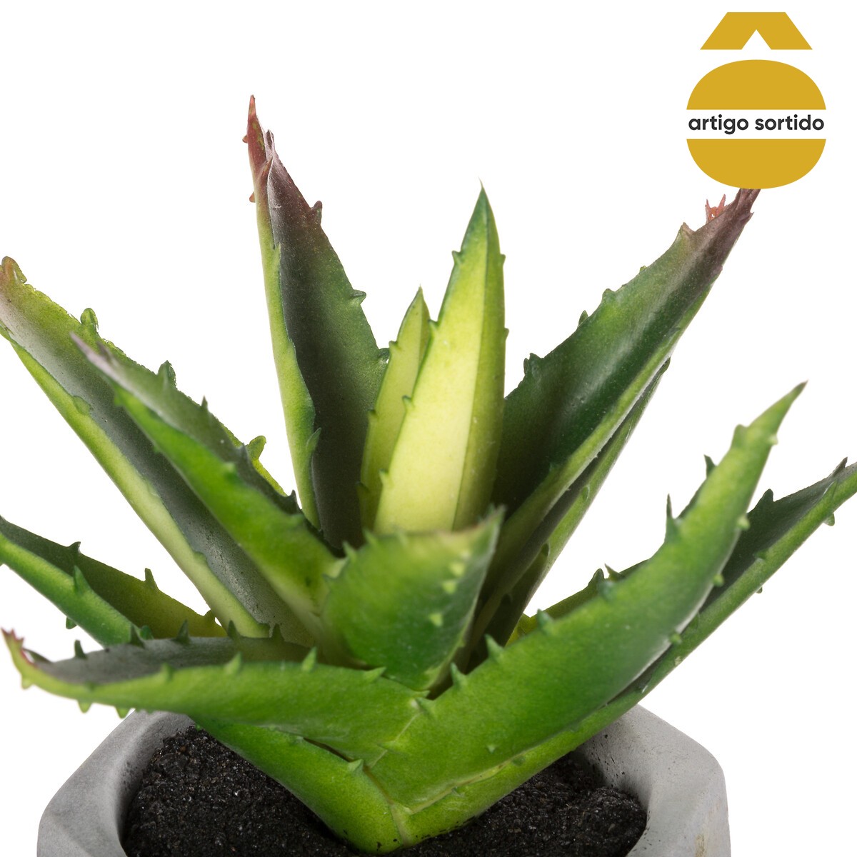 Vaso de cimento com planta 17cm