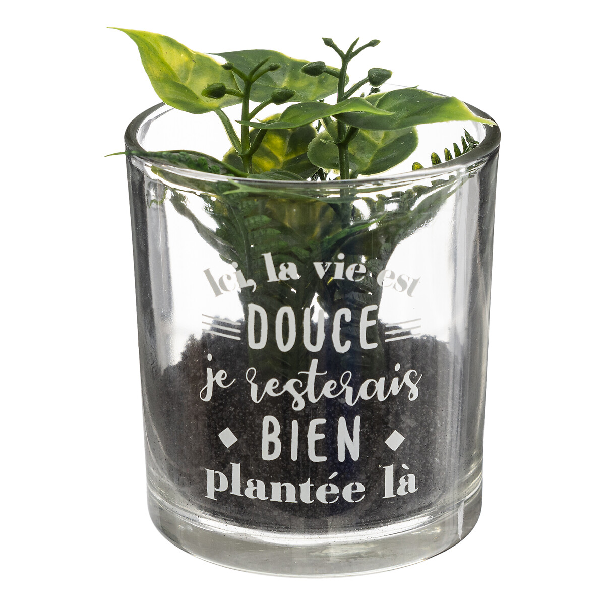 Vaso de vidro com planta 9,5x7cm
