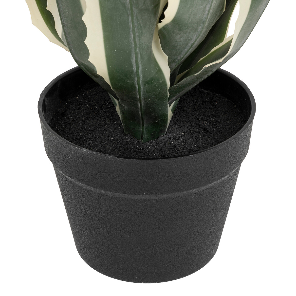 Planta agave verde 55cm