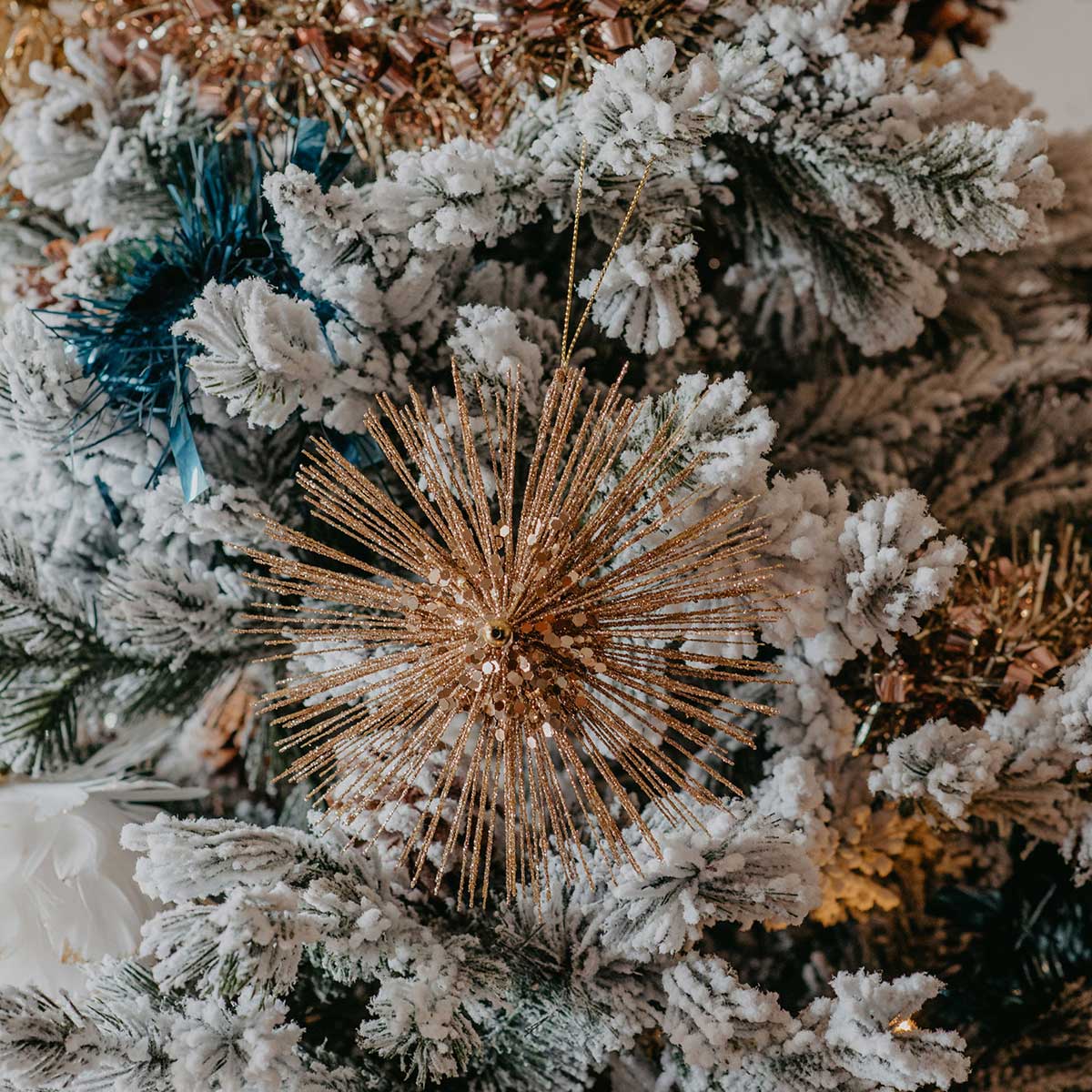 Estrela dourada brilhante