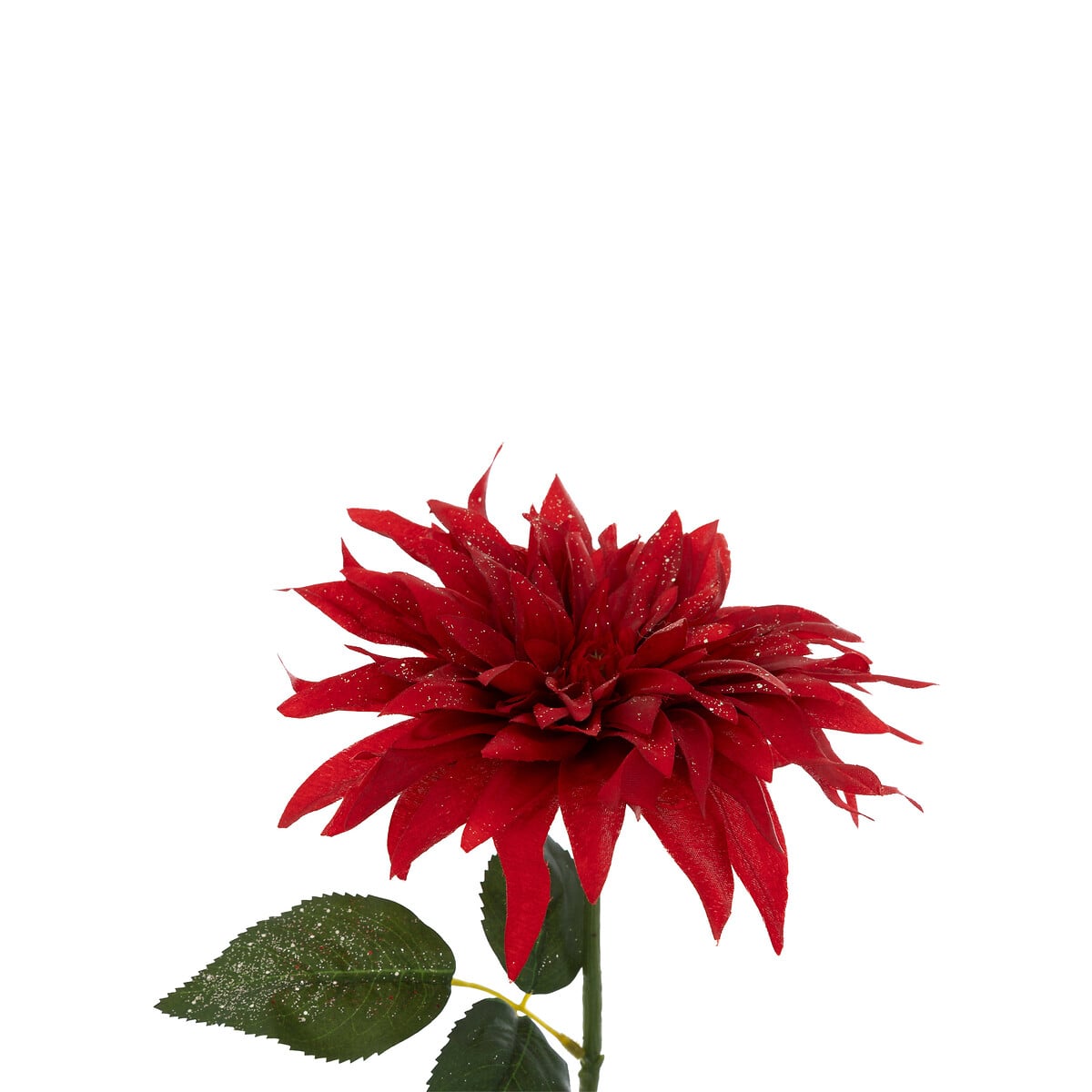 Haste d&aacute;lia 68cm