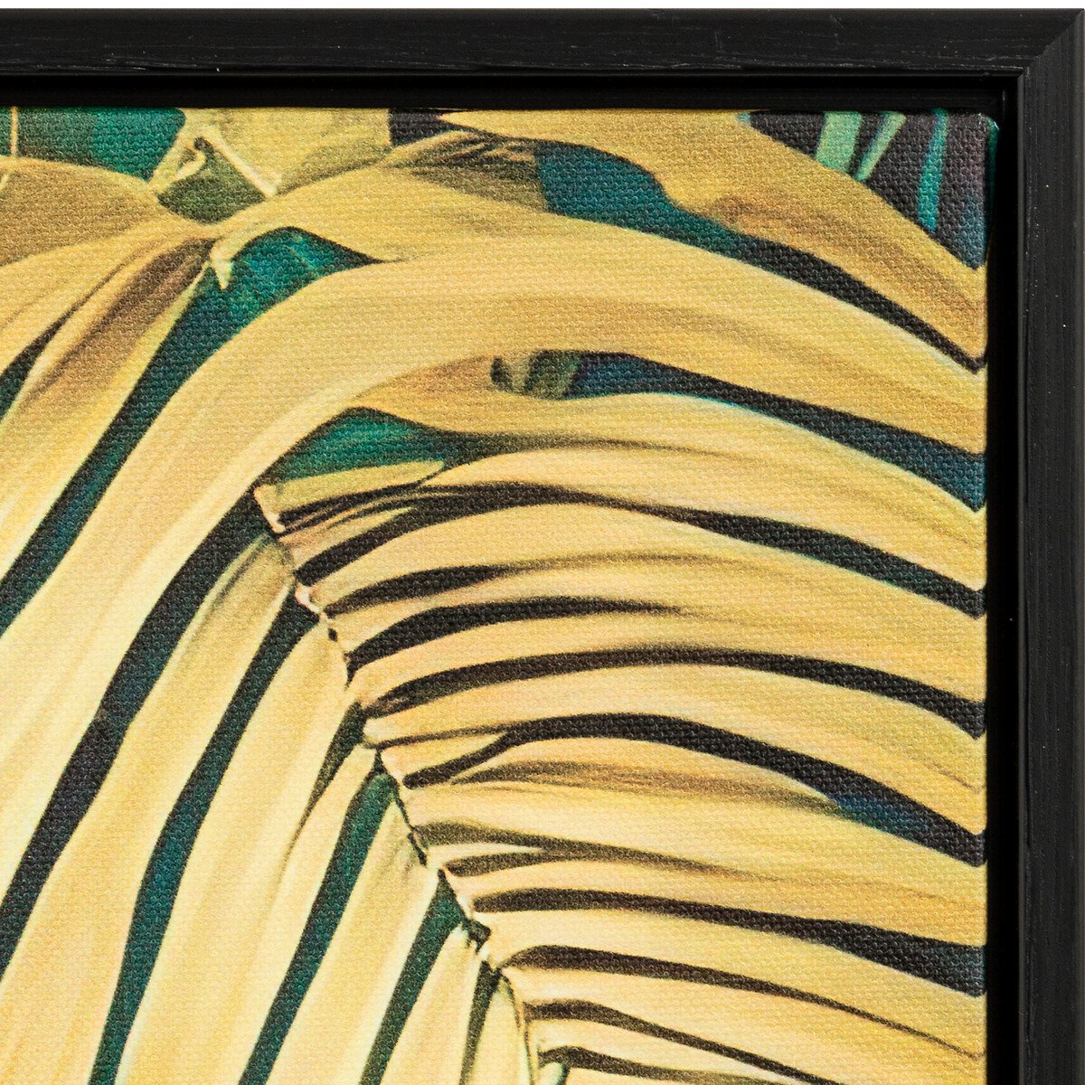 Quadro decorativo com papagaio CHARLENE 70x50cm