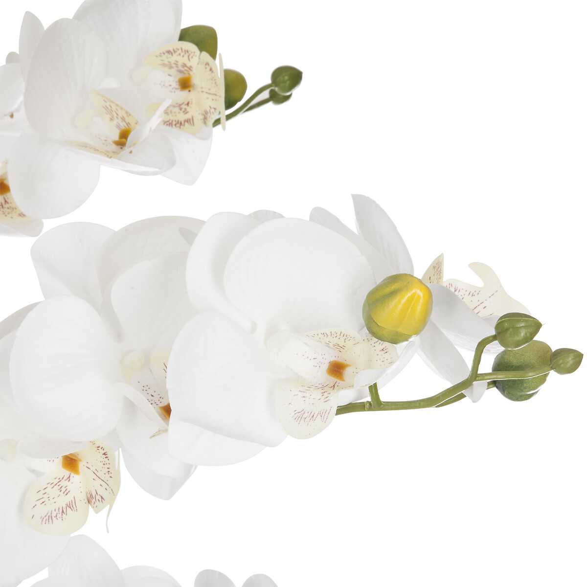 Vaso efeito m&aacute;rmore com orqu&iacute;dea artifical branca 65cm
