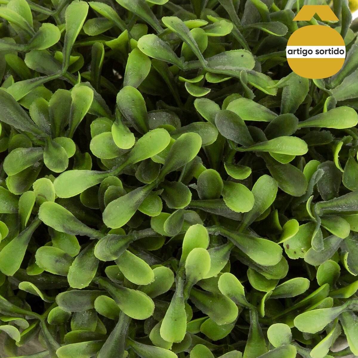 Vaso de cimento com planta ROMANCE 19cm