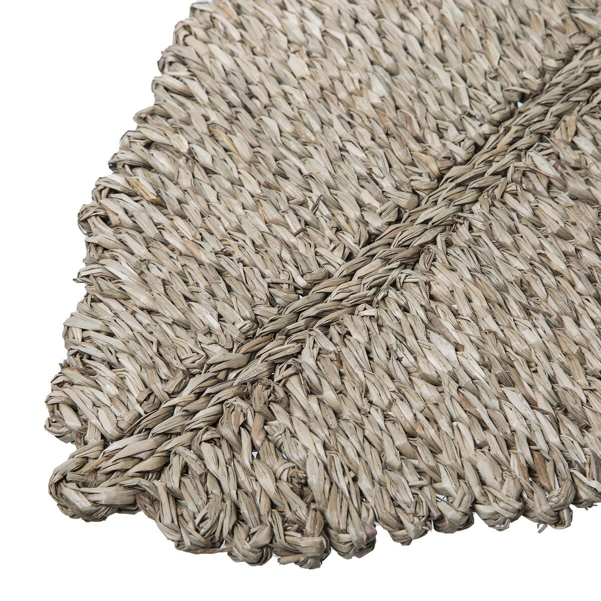 Individual FOLHA castanha em seagrass