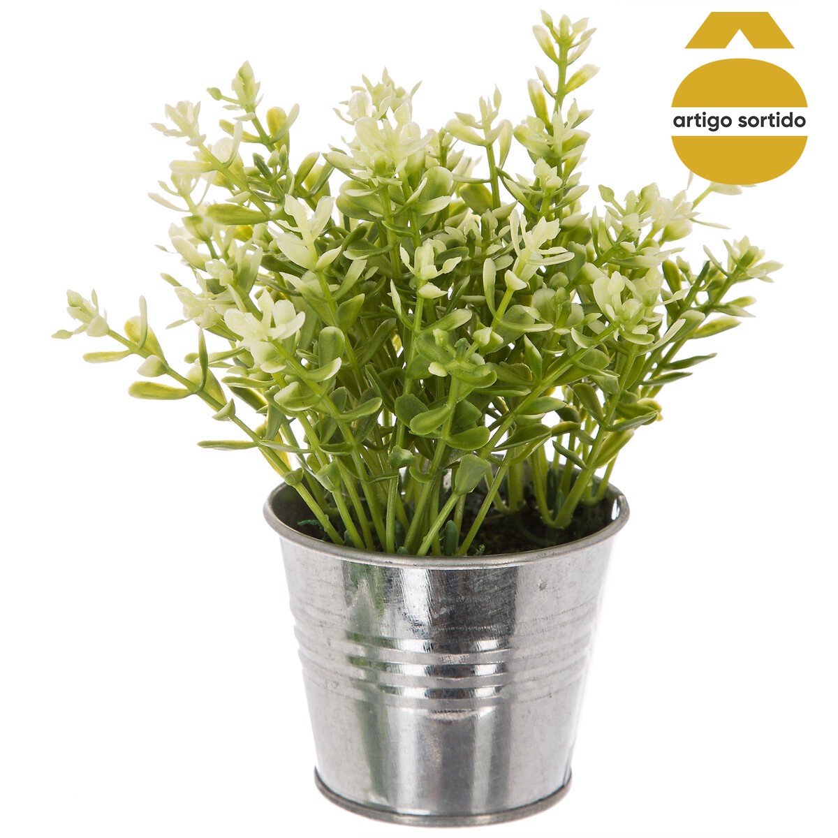 Vaso de zinco com planta 15cm