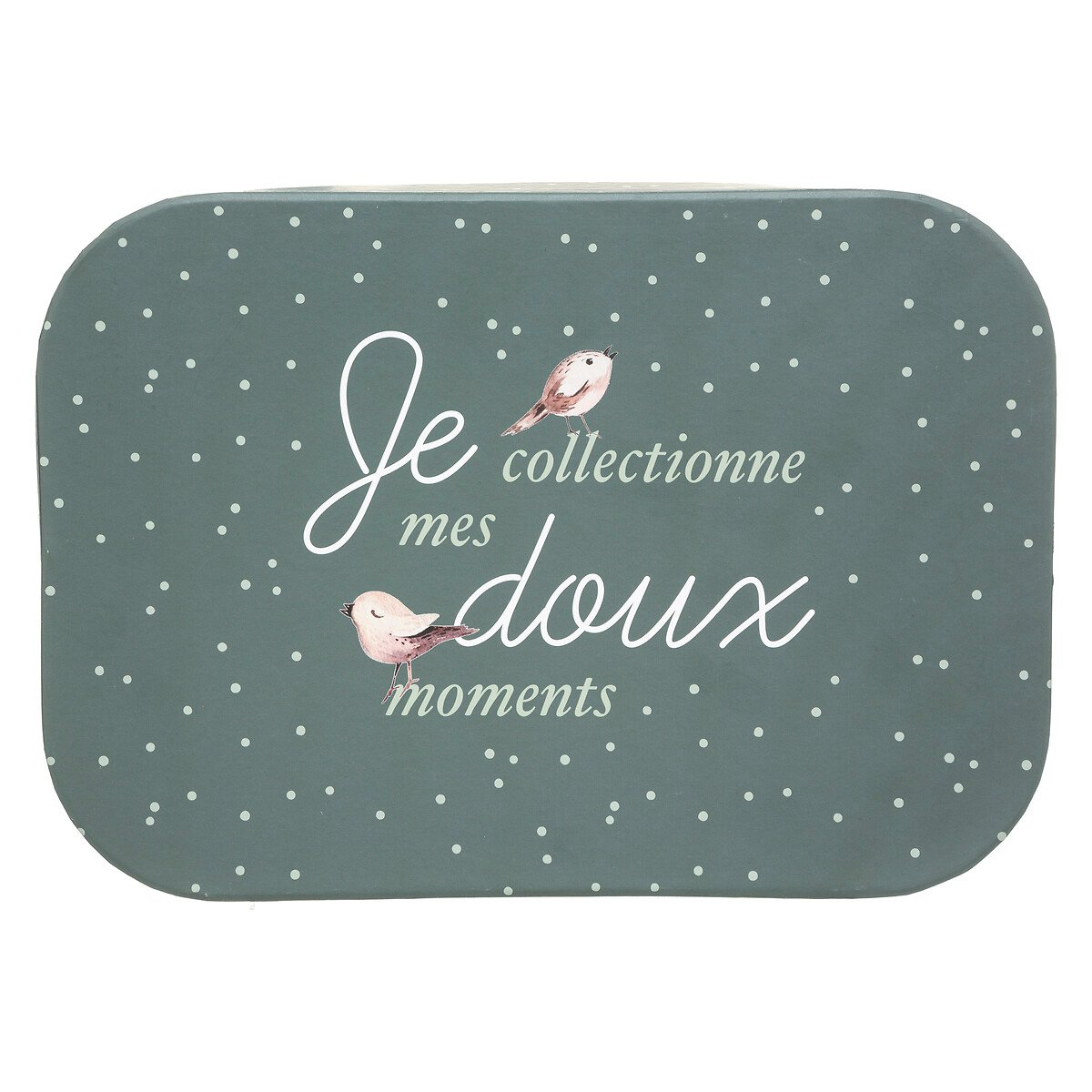 Caixa de arrumação FOREST 16,5x22,8x32,5cm