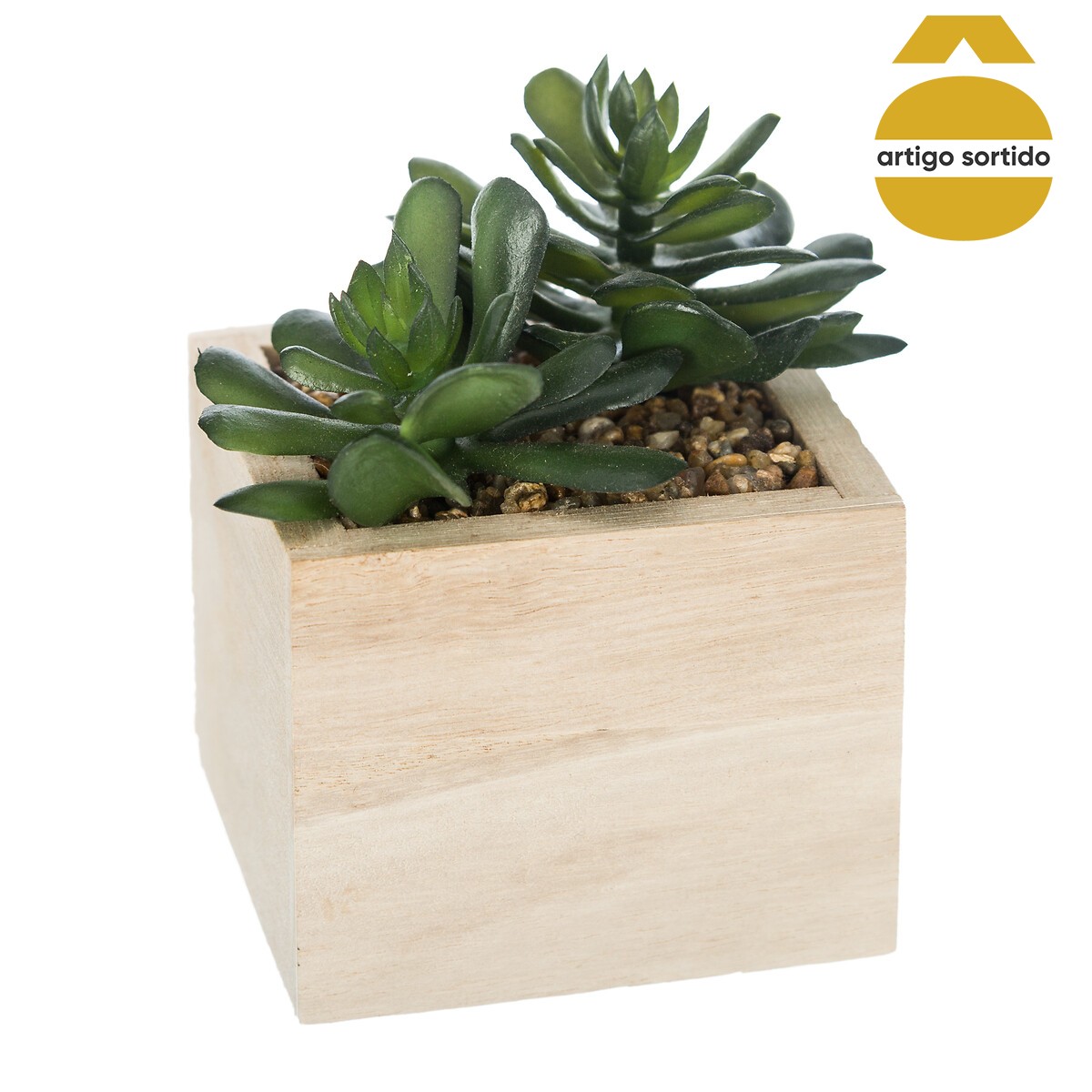 Vaso de madeira com planta 15cm