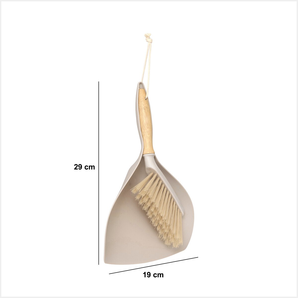 Apanhador de lixo com escova