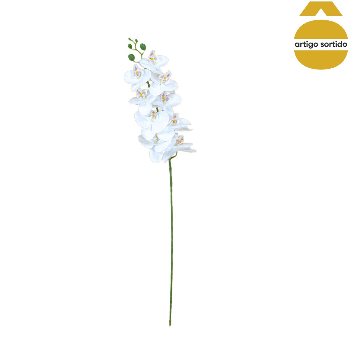 Haste de orqu&iacute;dea com toque natural