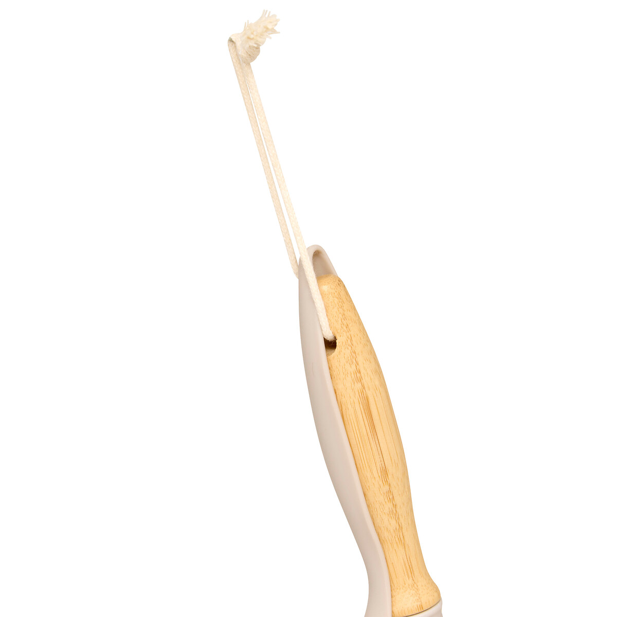 Apanhador de lixo com escova