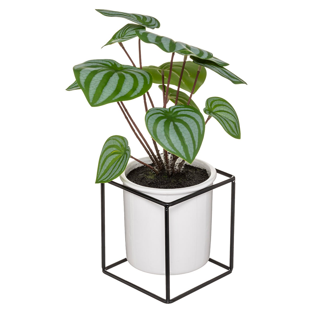 Planta maranta artifical com suporte 32cm