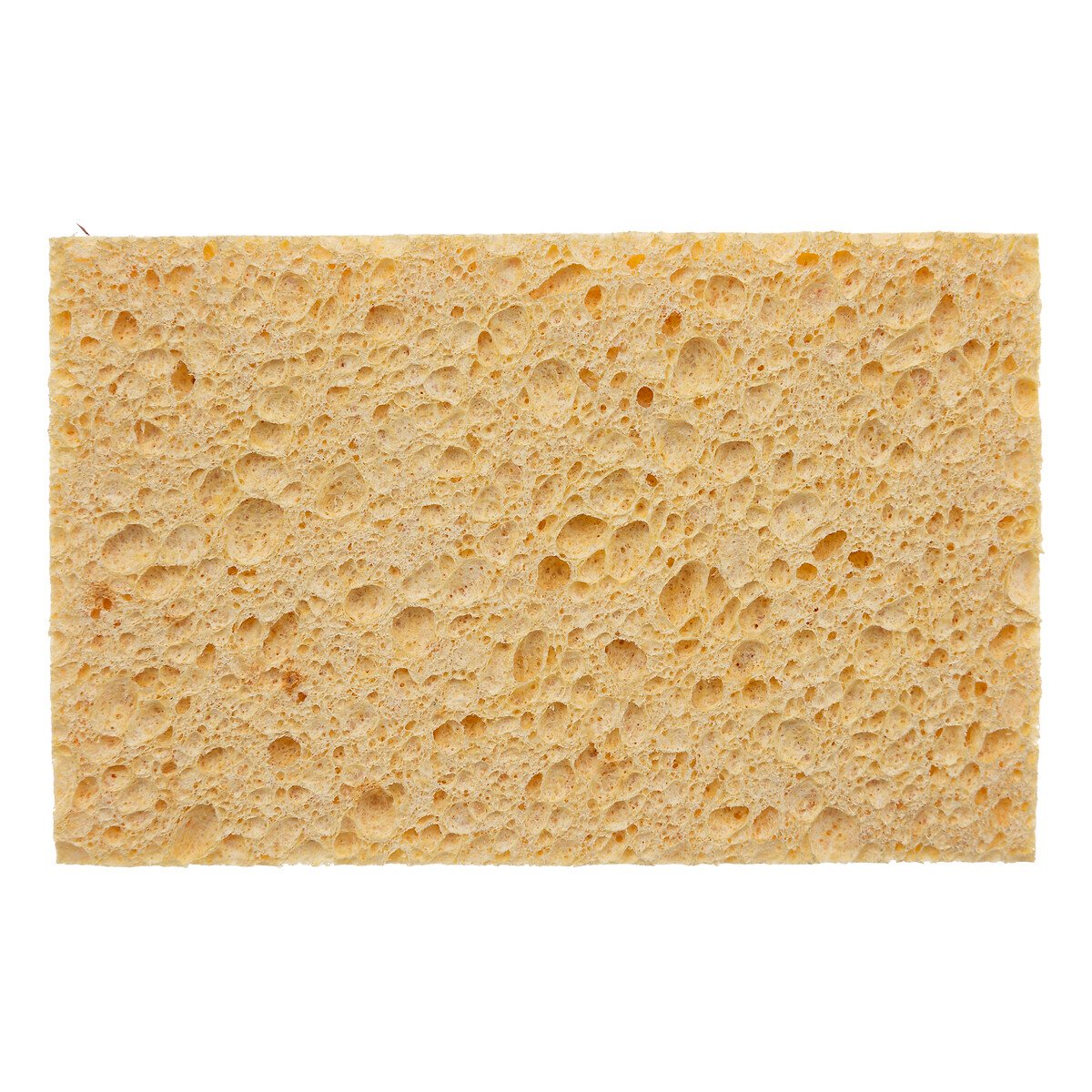 Conjunto de 2 esponjas blackwood