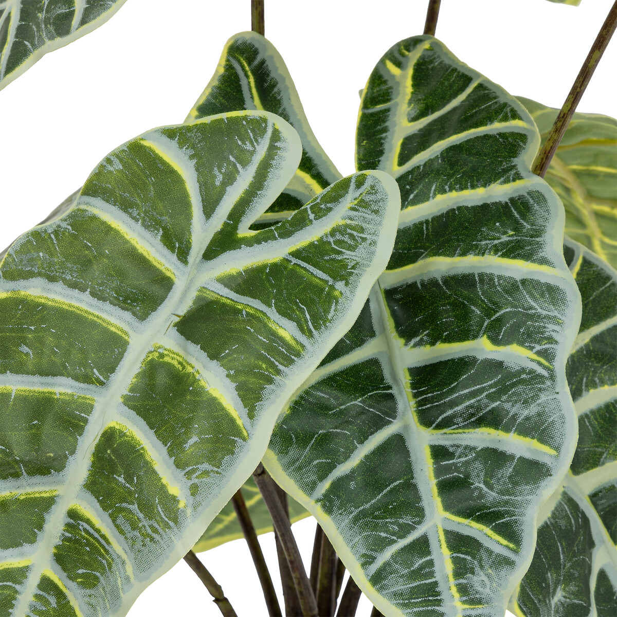 Planta alocasia verde 43cm