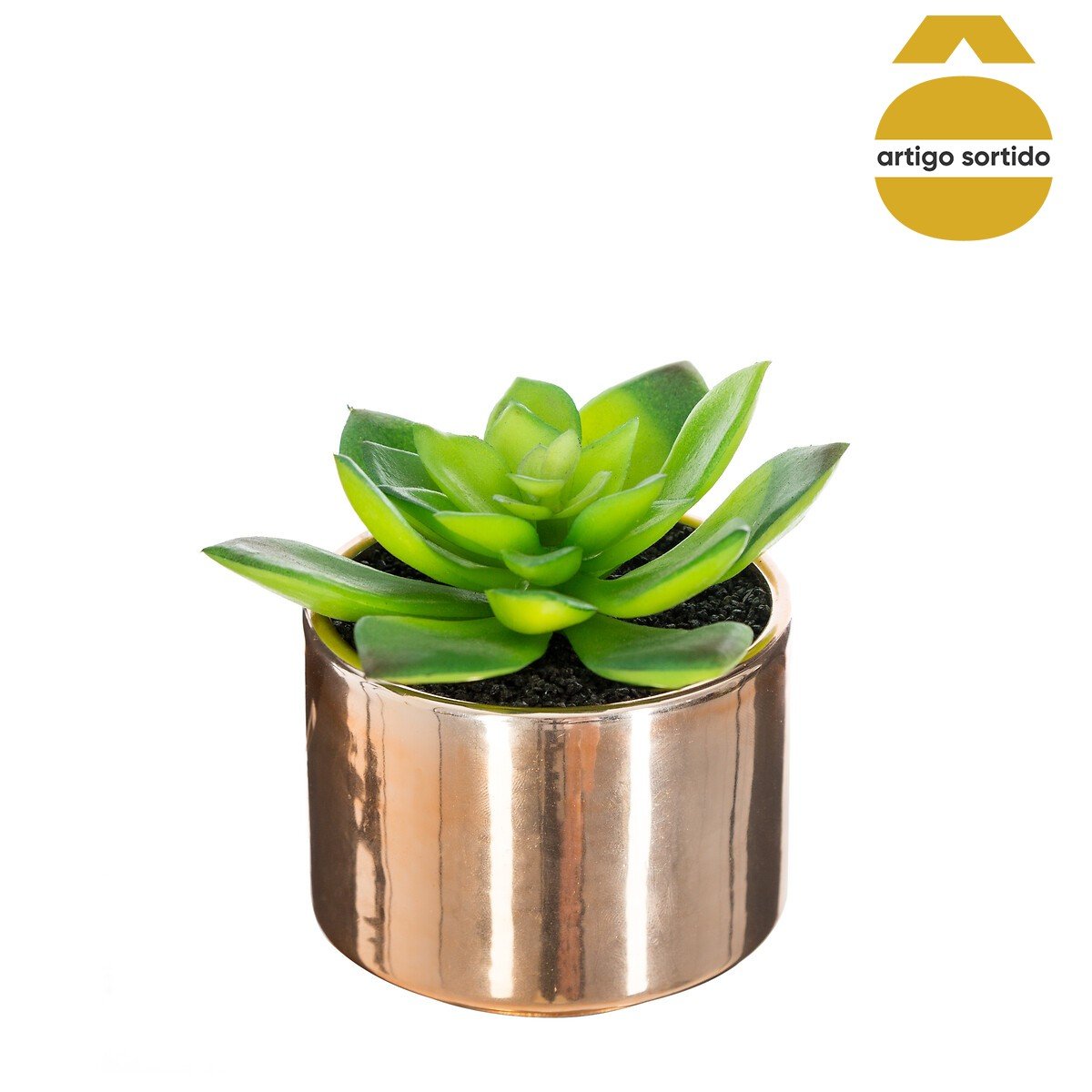 Vaso de cer&acirc;mica com planta 13,5cm