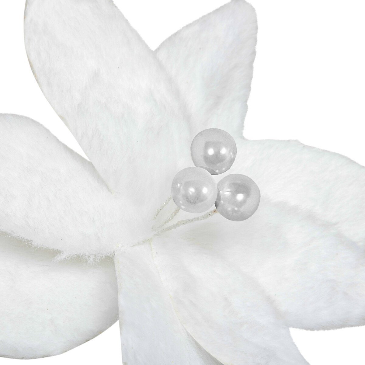 Flor poinsettia com mola branca com efeito neve 25x15cm,  Flor poinsettia com mola branca com efeito neve 25x15cm