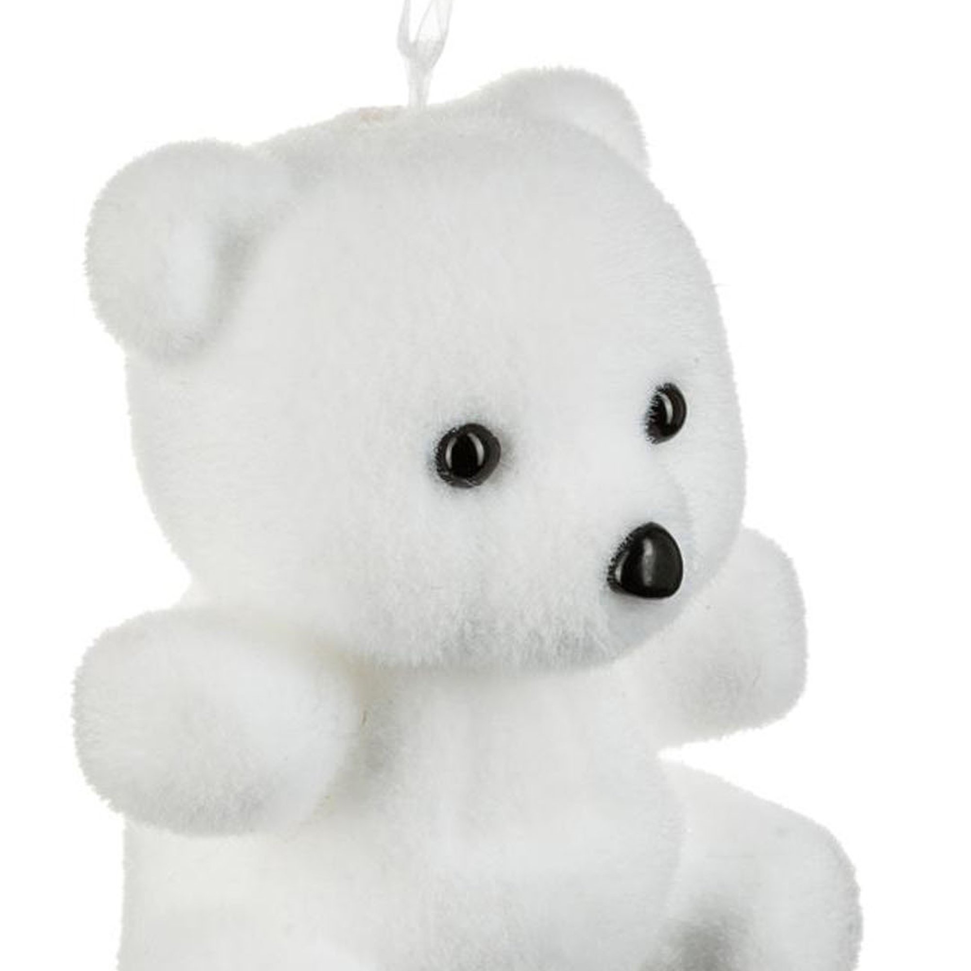 Urso branco