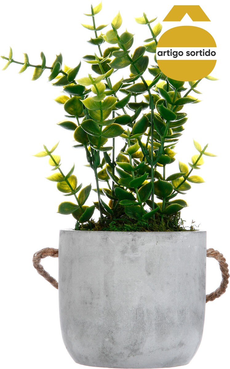 Vaso cimento suspenso com planta 25cm