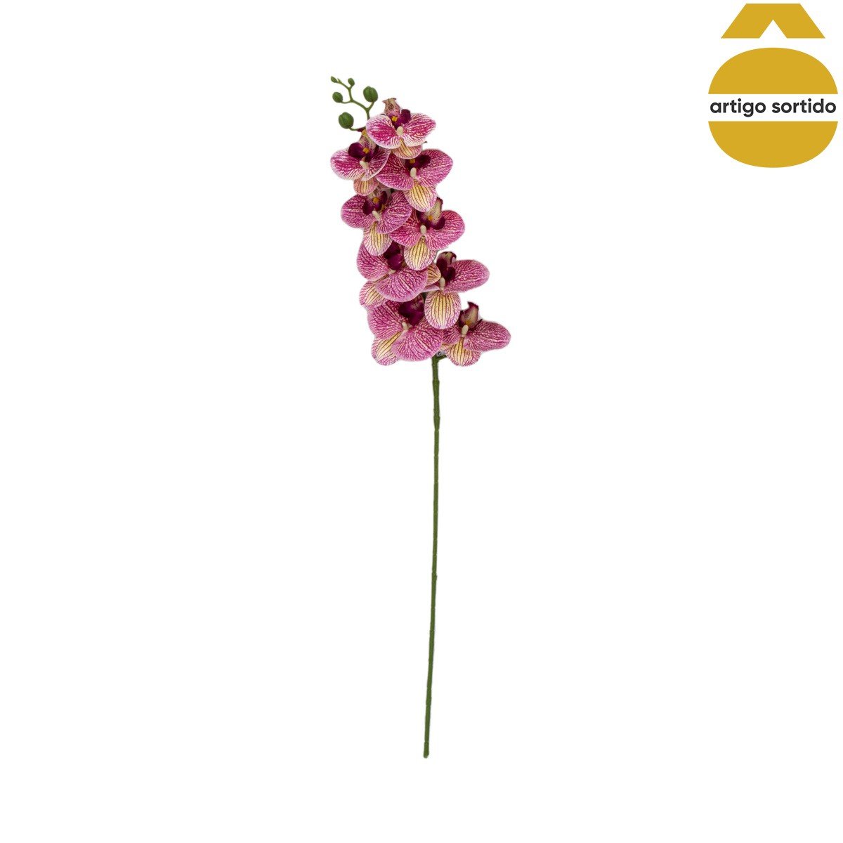 Haste de orqu&iacute;dea com toque natural