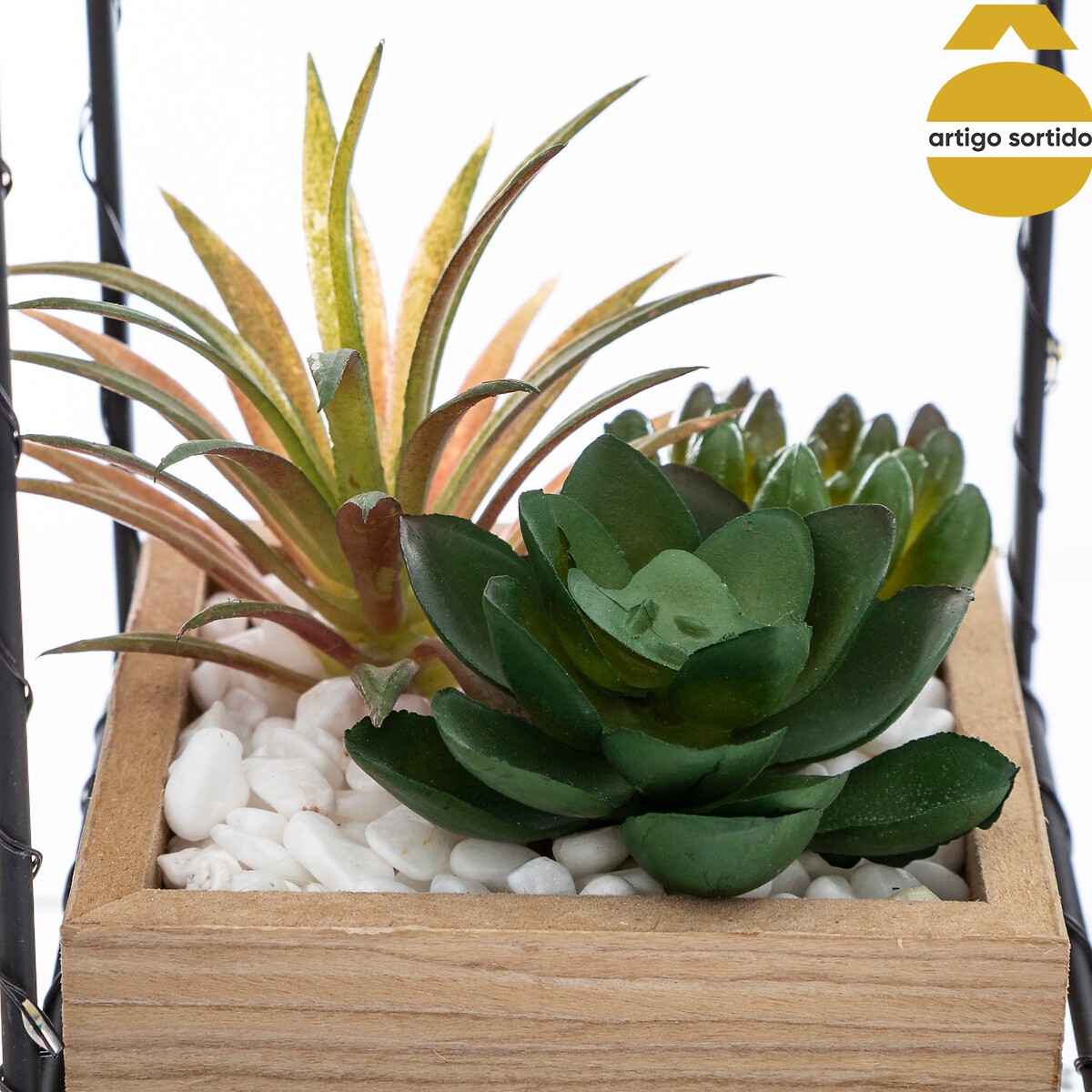 Vaso com casa led com planta