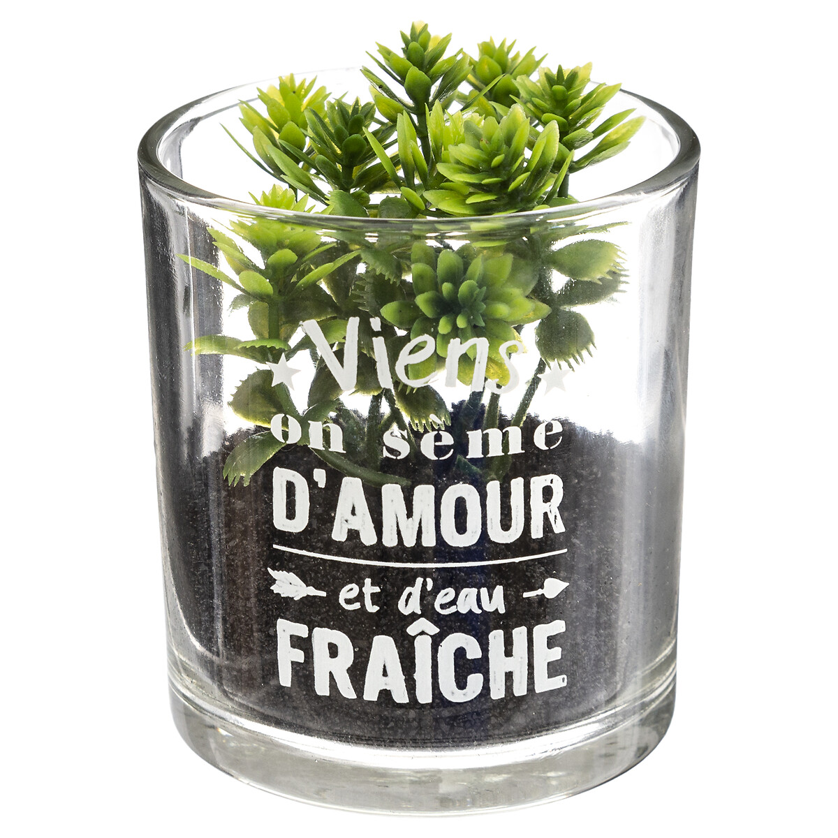 Vaso de vidro com planta 9,5x7cm
