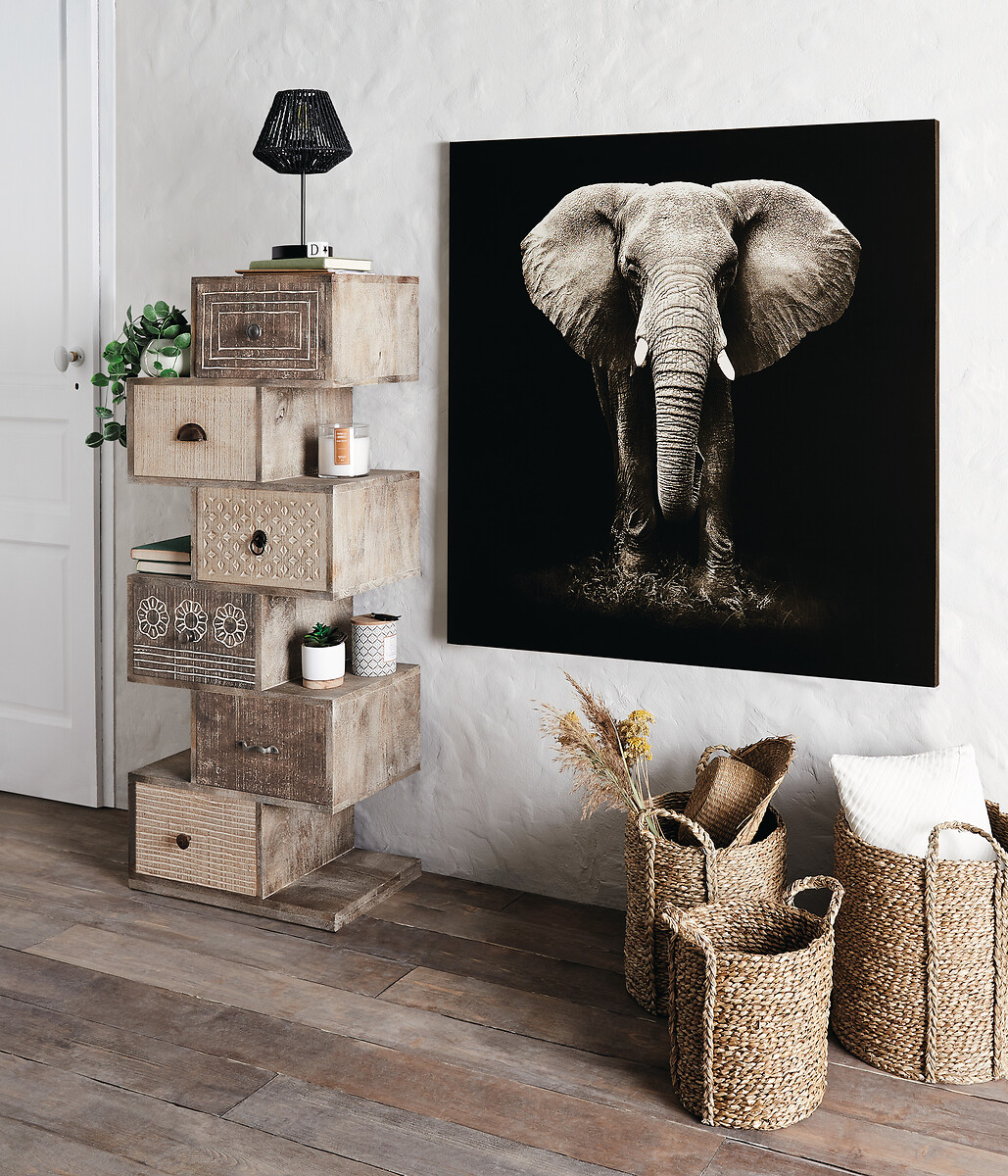 Quadro decorativo elefante