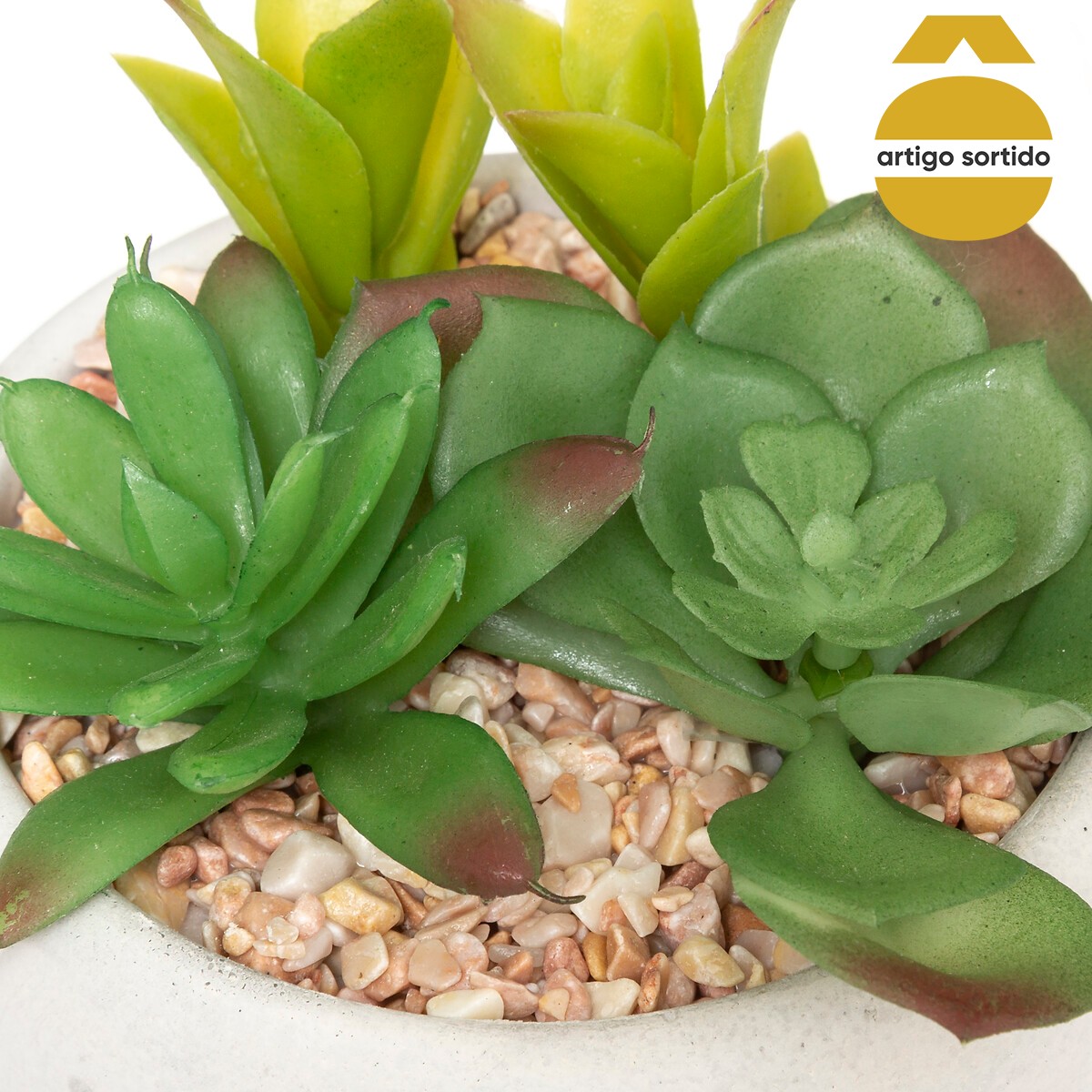 Vaso de cimento com planta 10cm