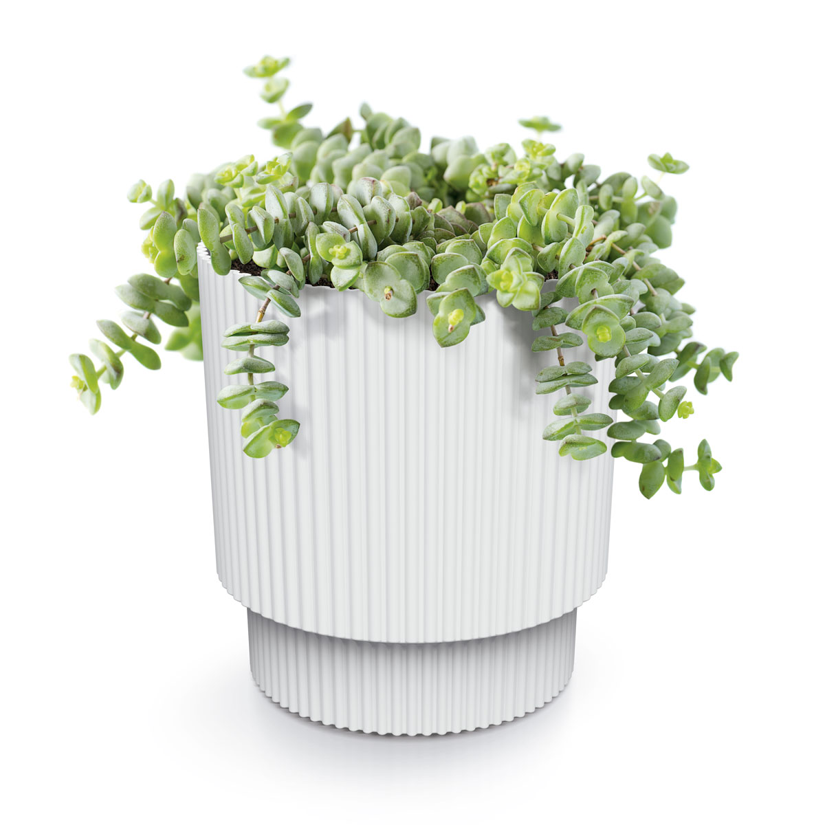 Vaso MILLY round branco 15cm