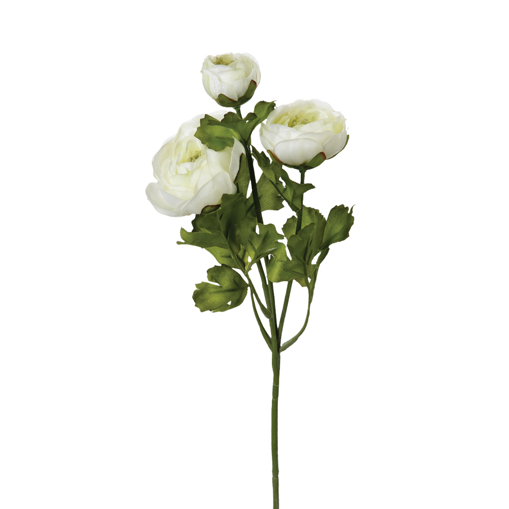 Haste de flor de rainunculo com 3 flores