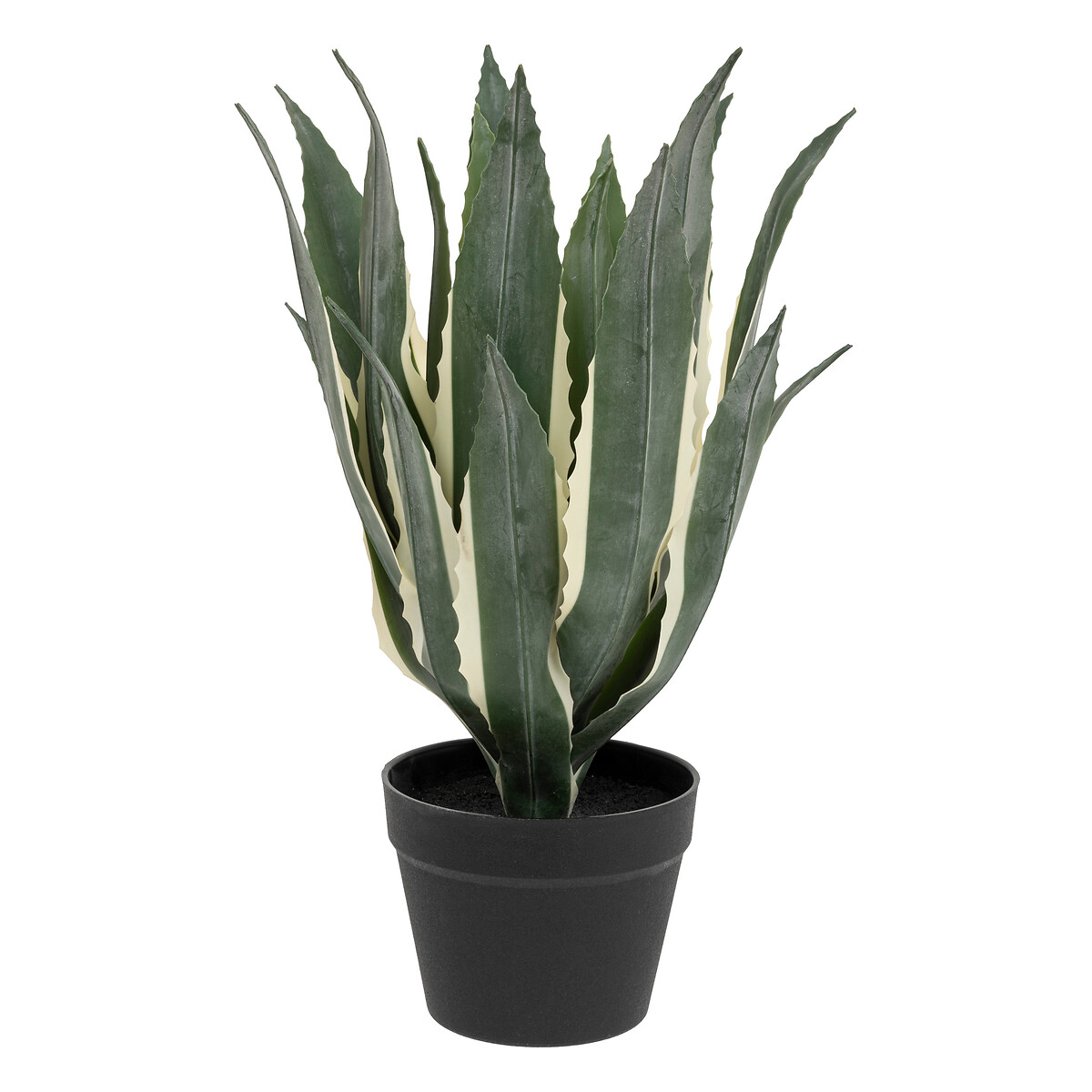 Planta agave verde 55cm