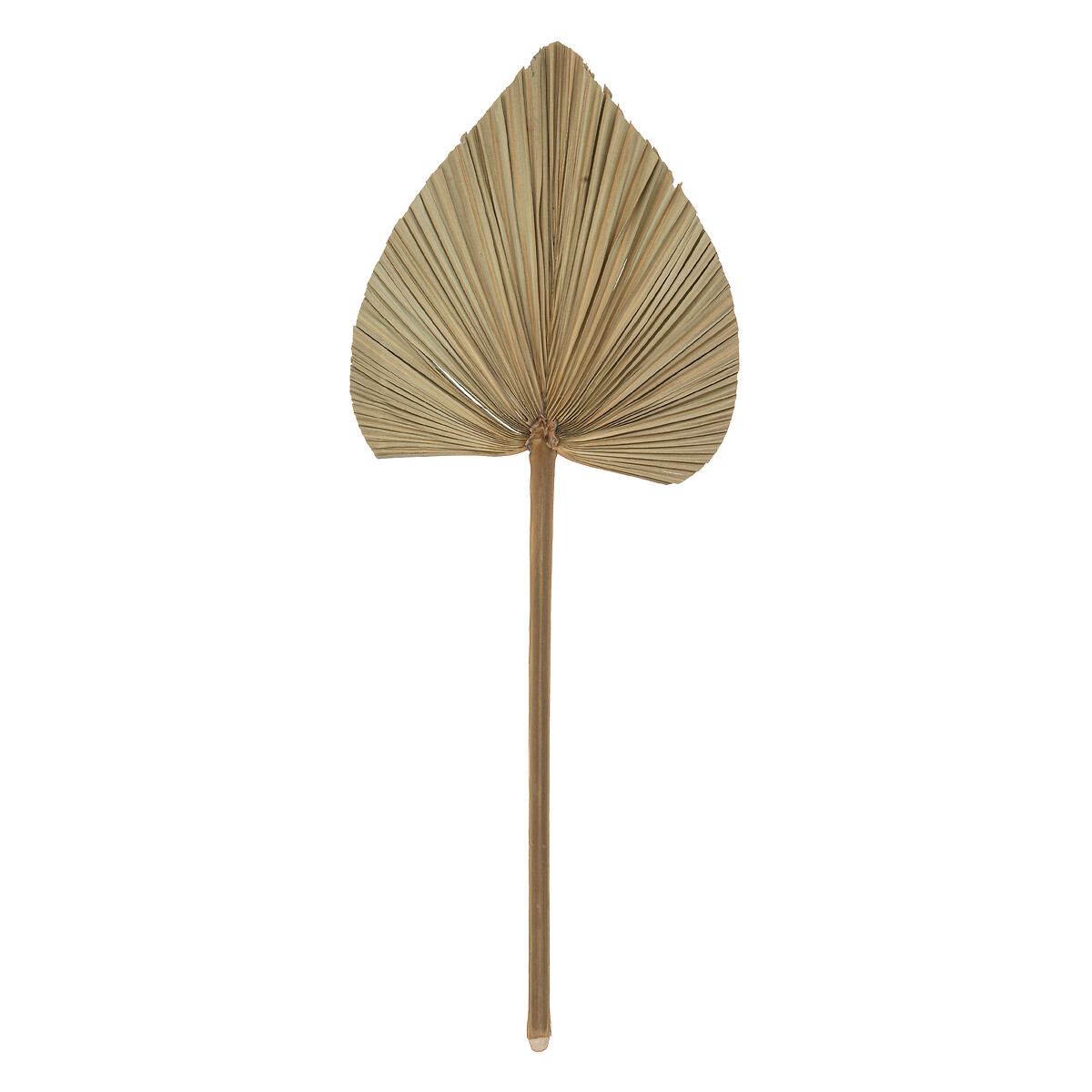 Conjunto de 3 folhas de palmeira verde caqui 70cm