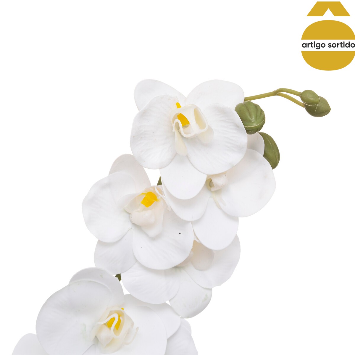 Planta orqu&iacute;dea com vaso cer&acirc;mico