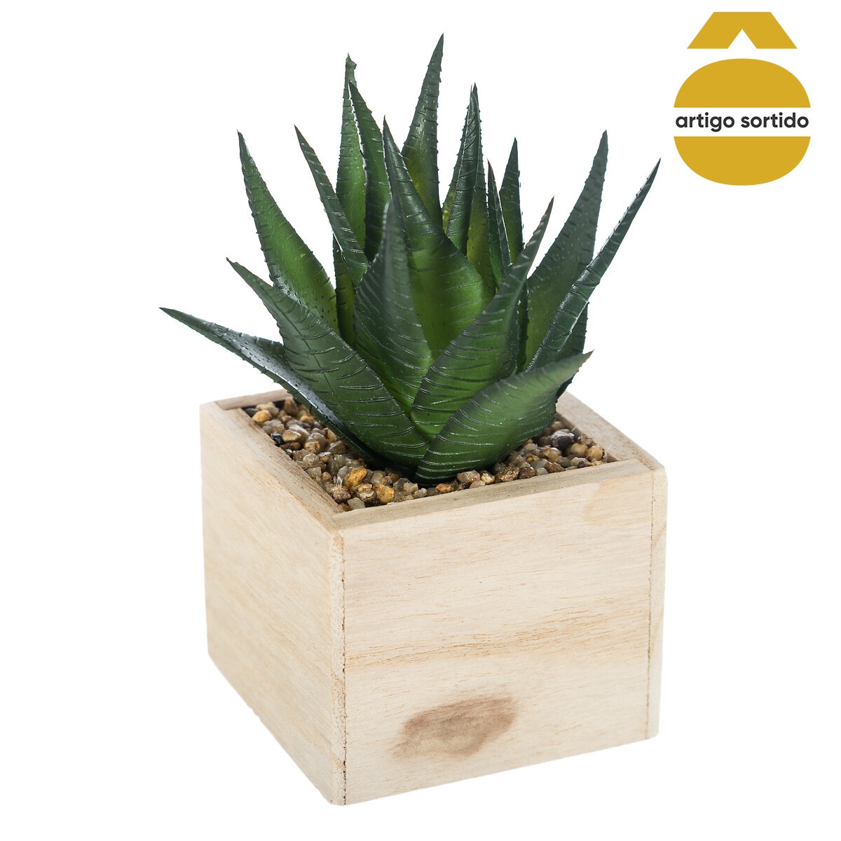 Vaso de madeira com planta 15cm