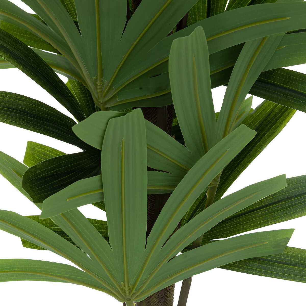 Palmeira bambu OLME verde 120cm