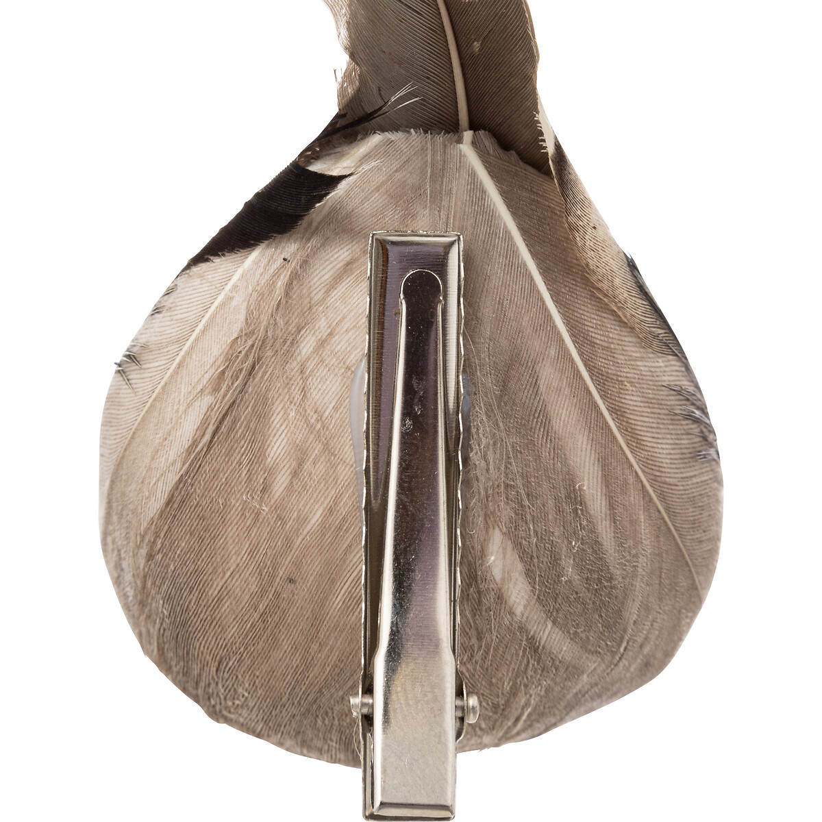 Pássaro com plumas castanho com mola 6x12cm