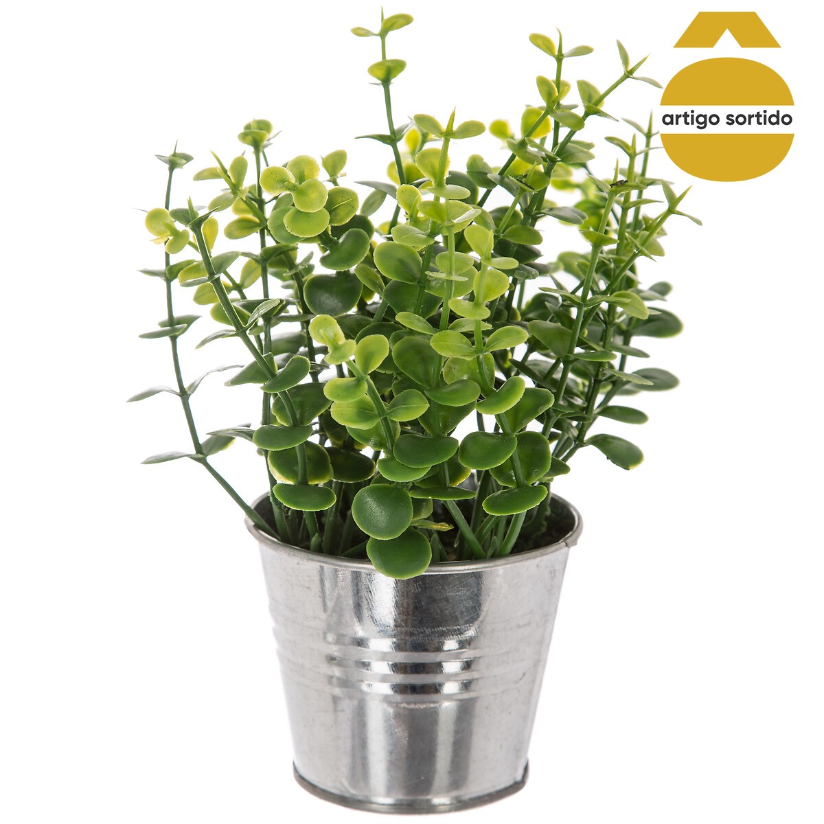 Vaso de zinco com planta 15cm