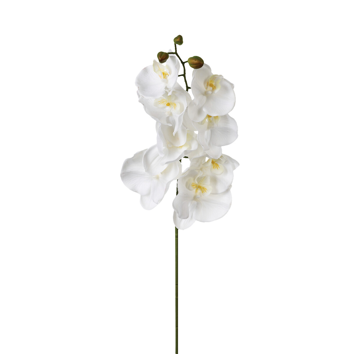 Haste orqu&iacute;dea 108cm