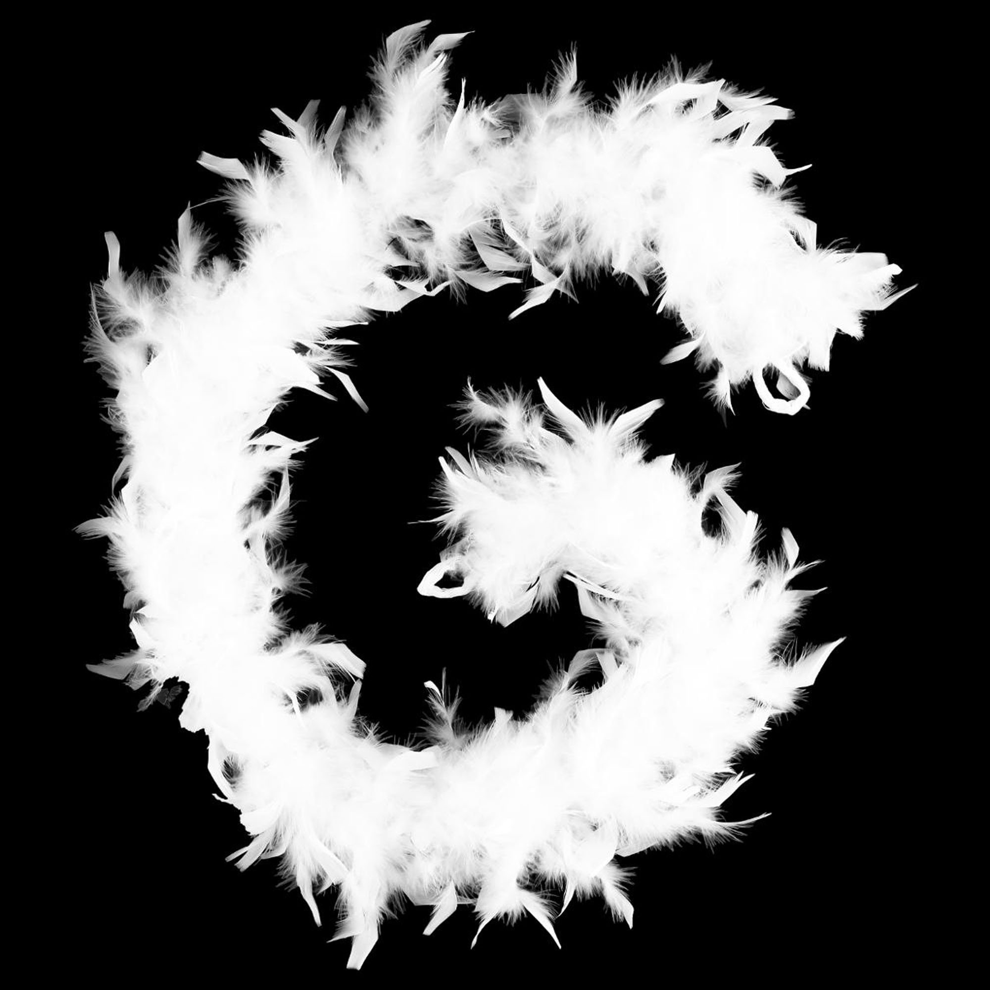 Pluma branca para decoração,  Pluma branca para decoração