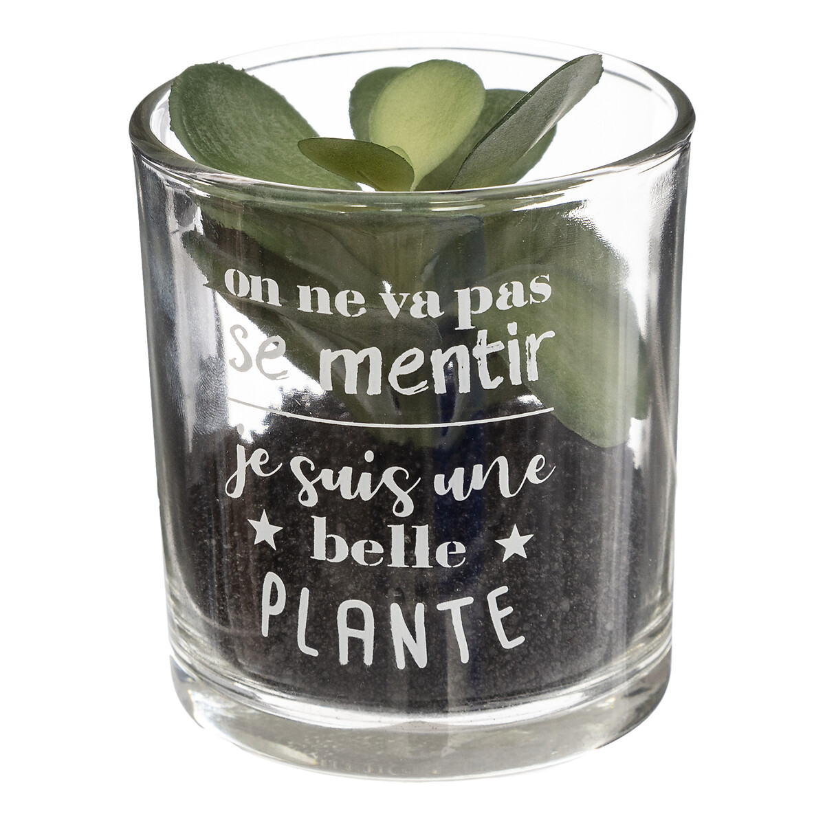 Vaso de vidro com planta 9,5x7cm