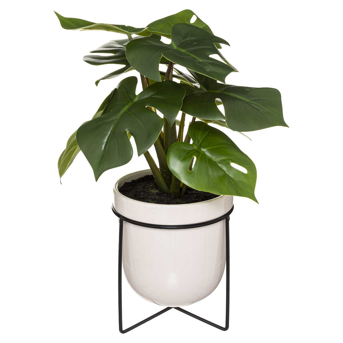 Planta monstera com vaso cer&acirc;mico 33cm