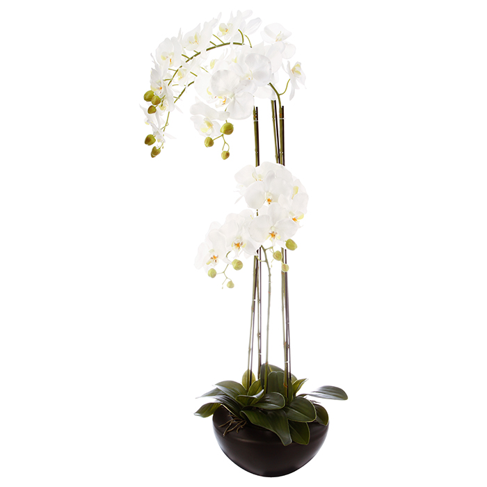Planta Orquídea Branca Com Vaso 110cm | atmosphera | hôma