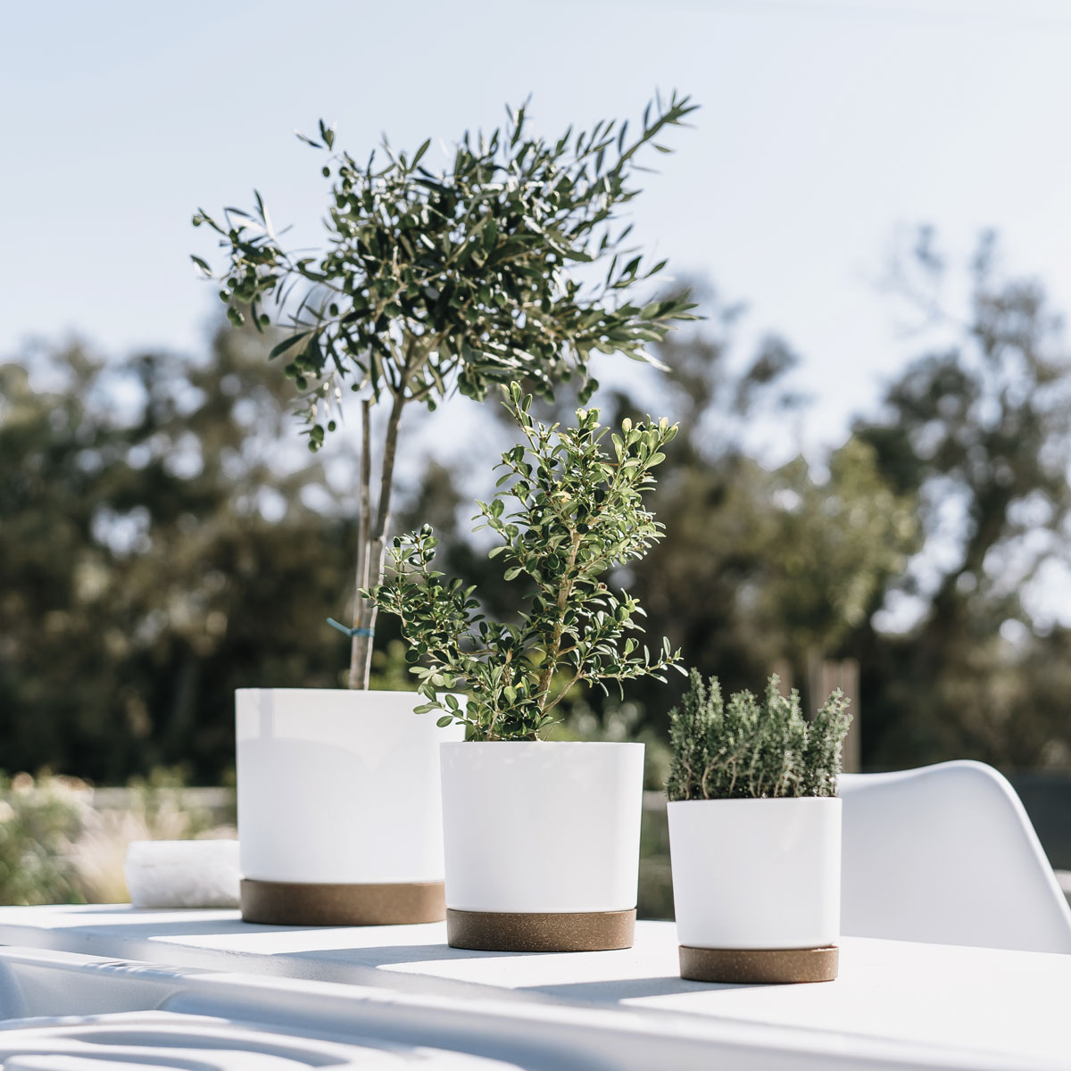 Vaso TUBO PM branco 33cm